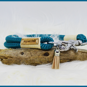 Collier pour chien Aqua