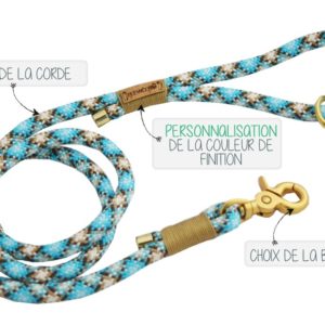 Laisse simple Pawdog