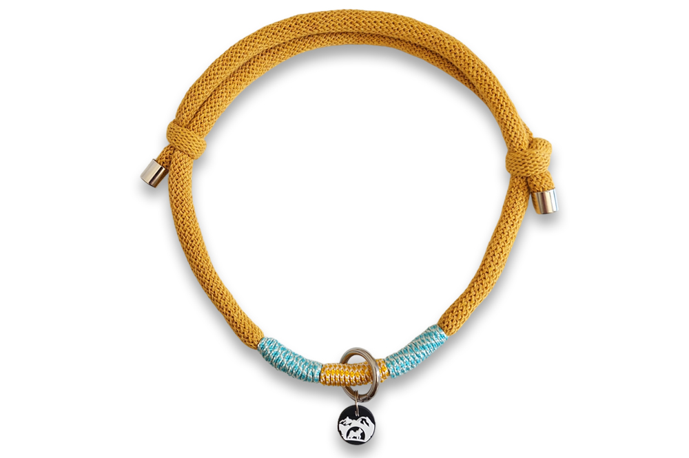 template image principale copie 3