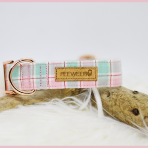 Collier pour chien Pastel