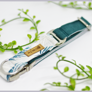 Collier pour chien Twopaws