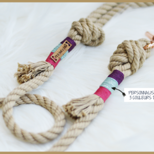 lAISSE POUR CHIEN PERSONNALISABLE PAWSSION