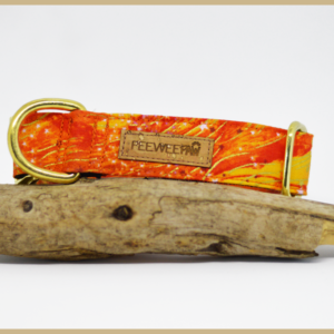 Collier pour chien Volcano