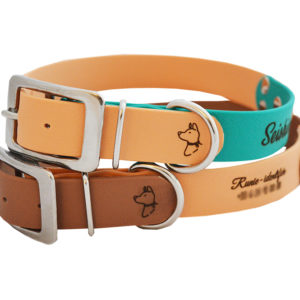 Collier pour chien en TPU imperméable