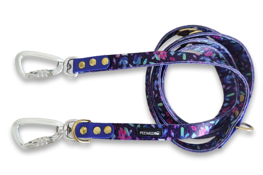 Laisse multi-positions personnalisable en sangle et Biothane (autres motifs)