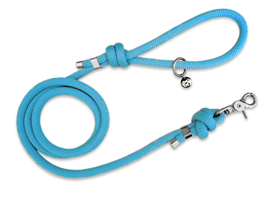 Laisse en corde bleue