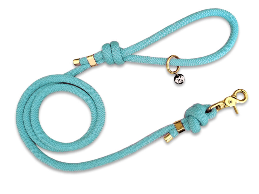 Laisse en corde turquoise