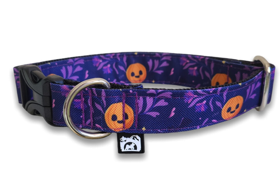 Collier imperméable Pawpkin