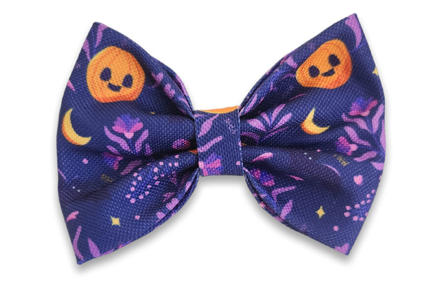 Noeud papillon imperméable Pawpkin