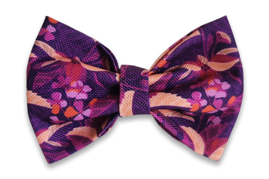 Noeud papillon imperméable Pawrple