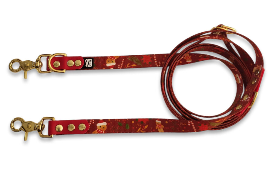 Laisse multi-positions Tibiscuit