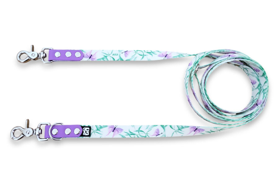 Laisse multi-positions Pawchaon