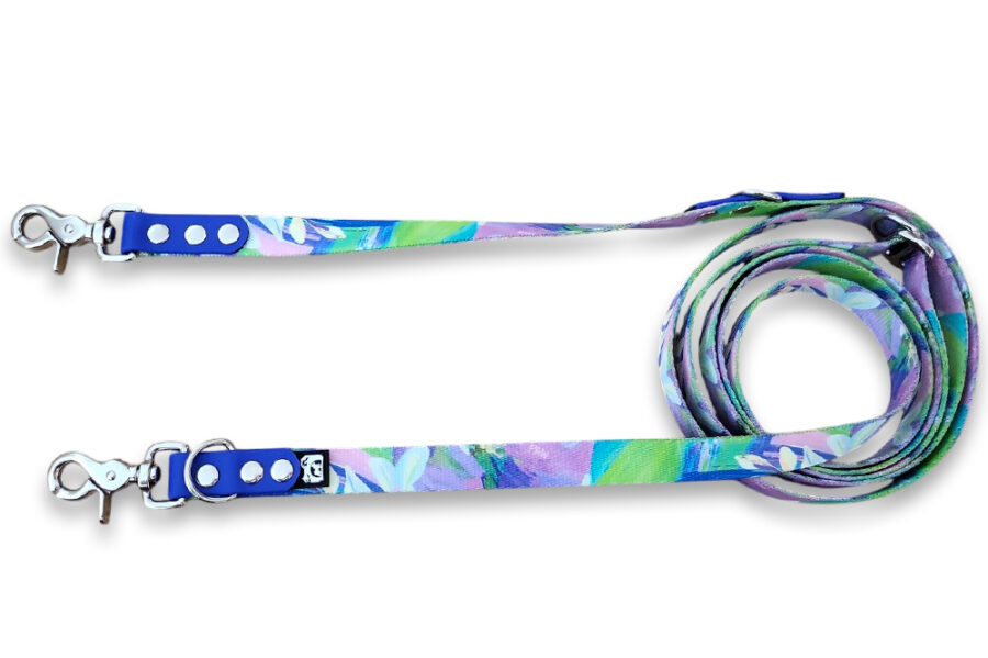 Laisse multi-positions Springpaw