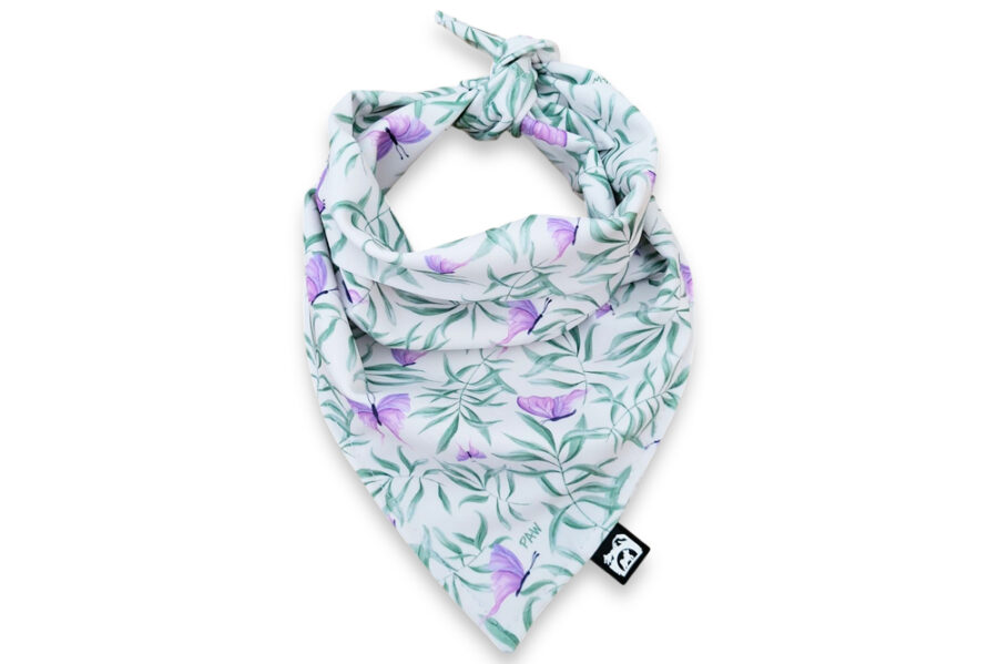 Bandana Pawchaon