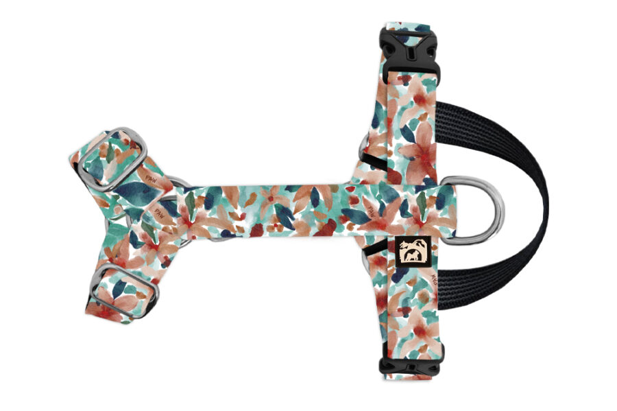 Harnais imperméable pour chien Botanipaw