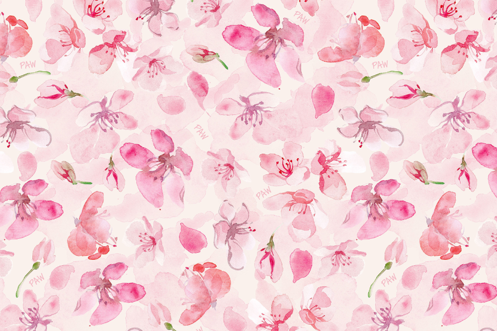 hanami hanami