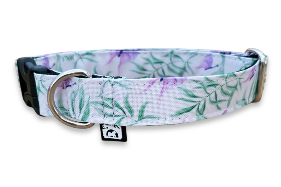 Collier imperméable Pawchaon