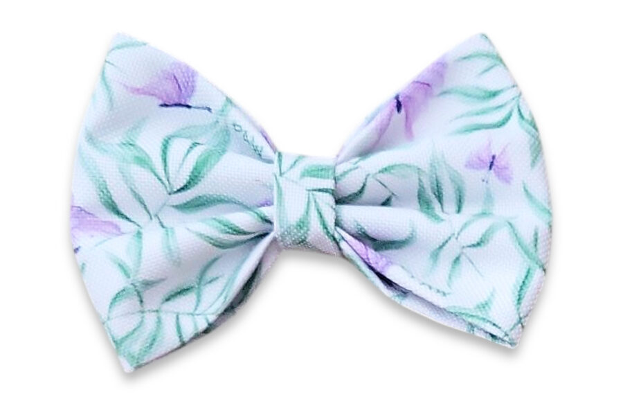 Noeud papillon imperméable Pawchaon