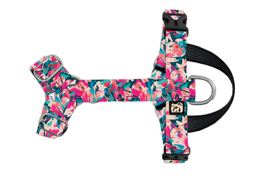 Harnais imperméable pour chien Pawting