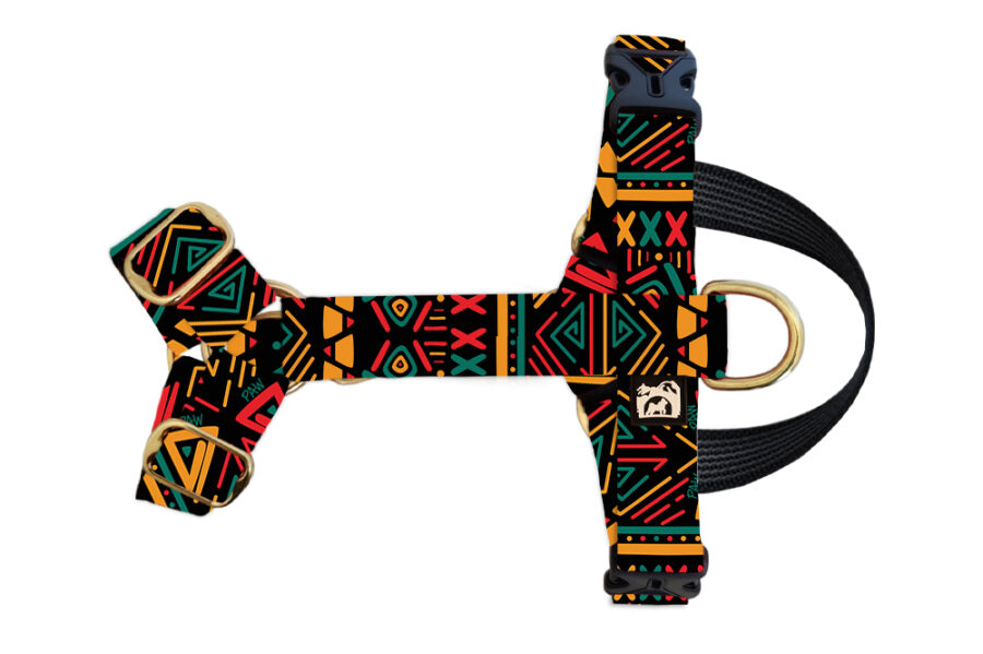 Harnais imperméable pour chien Pawztec