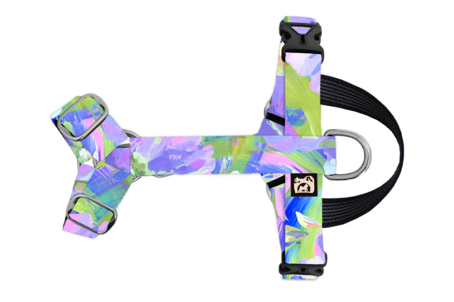 Harnais imperméable pour chien Springpaw