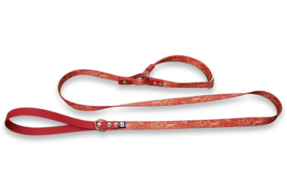 laisse lasso sangle et biothane laisse lasso sangle et biothane