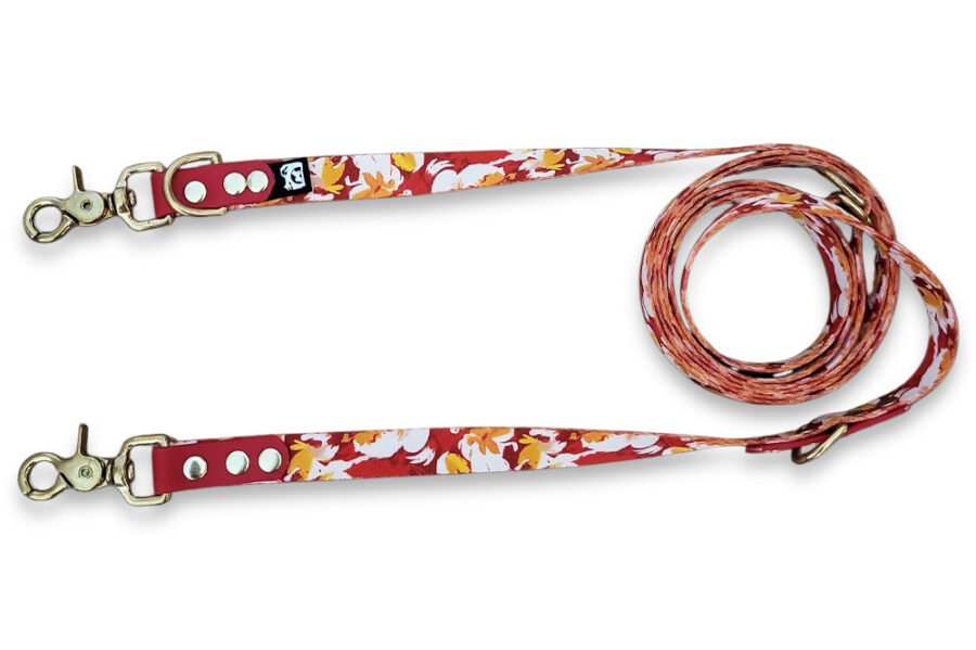 Laisse multi-positions Weefire