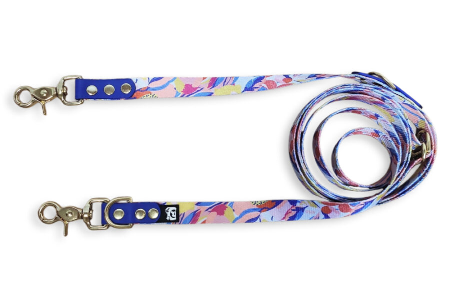 Laisse multi-positions Estipaw