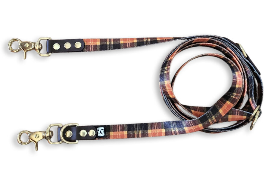 Laisse multi-positions McPaw