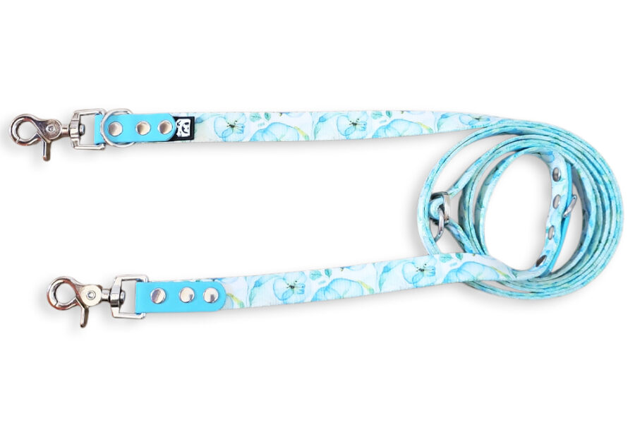 Laisse multi-positions Weesteria