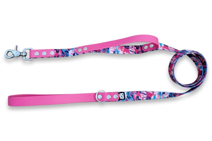 Laisse citadine Pawting