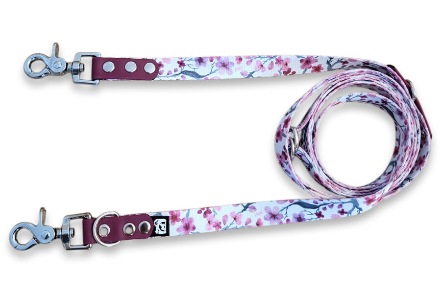 Laisse multi-positions Sakura