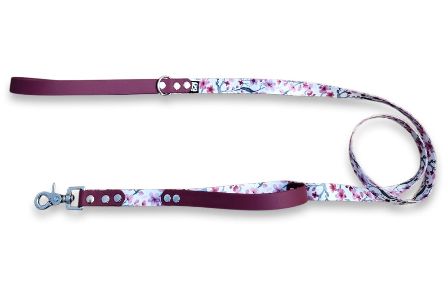 Laisse citadine Sakura