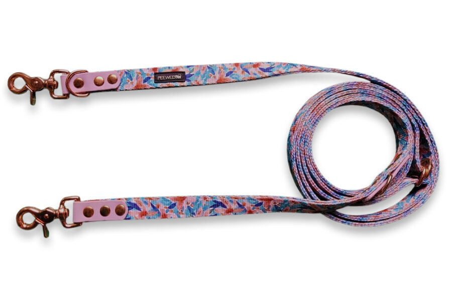 Laisse multi-positions Botanipaw (bleue, double-épaisseur)