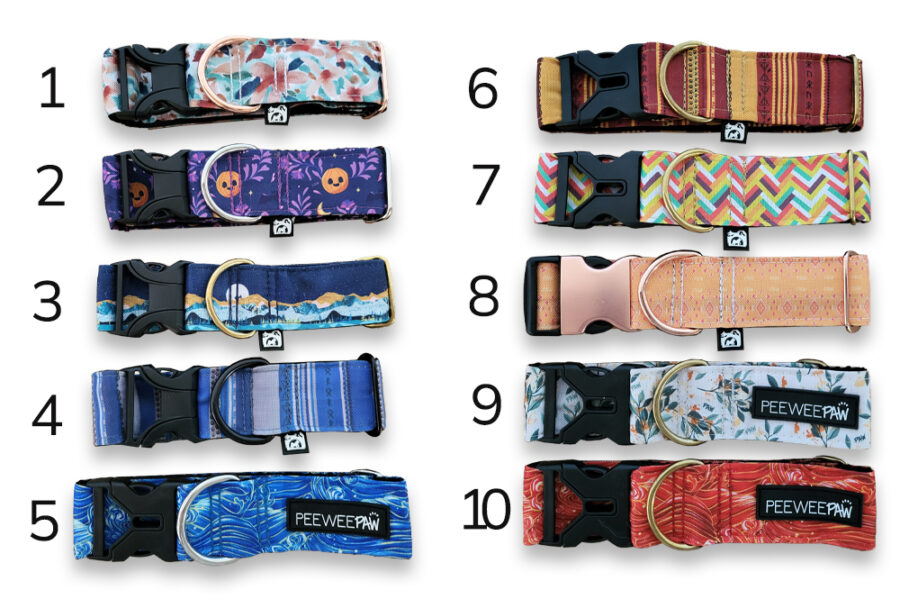 Colliers pour chien (taille M)