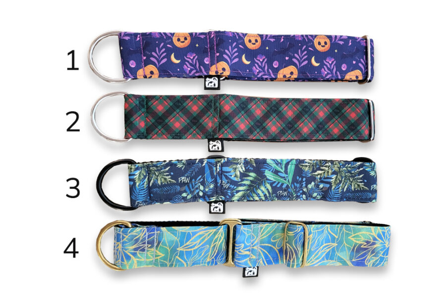 Martingales pour chien (taille M)