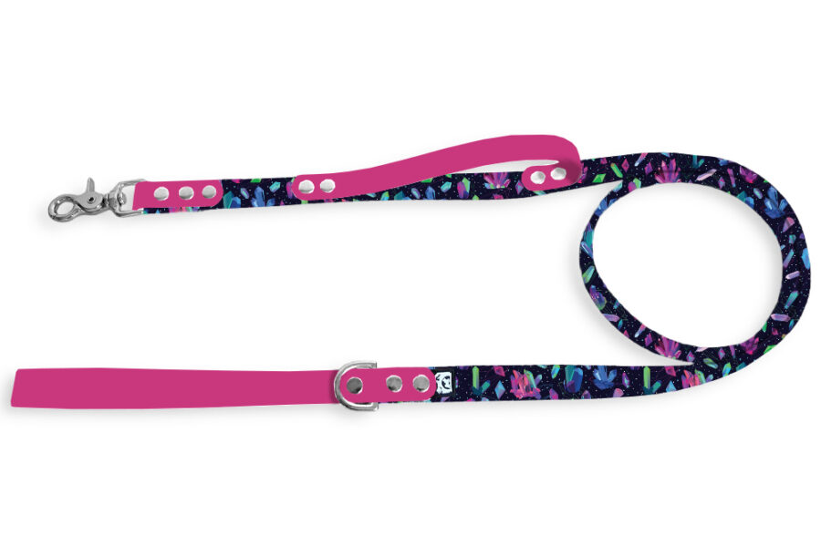 Laisse citadine Pawartz