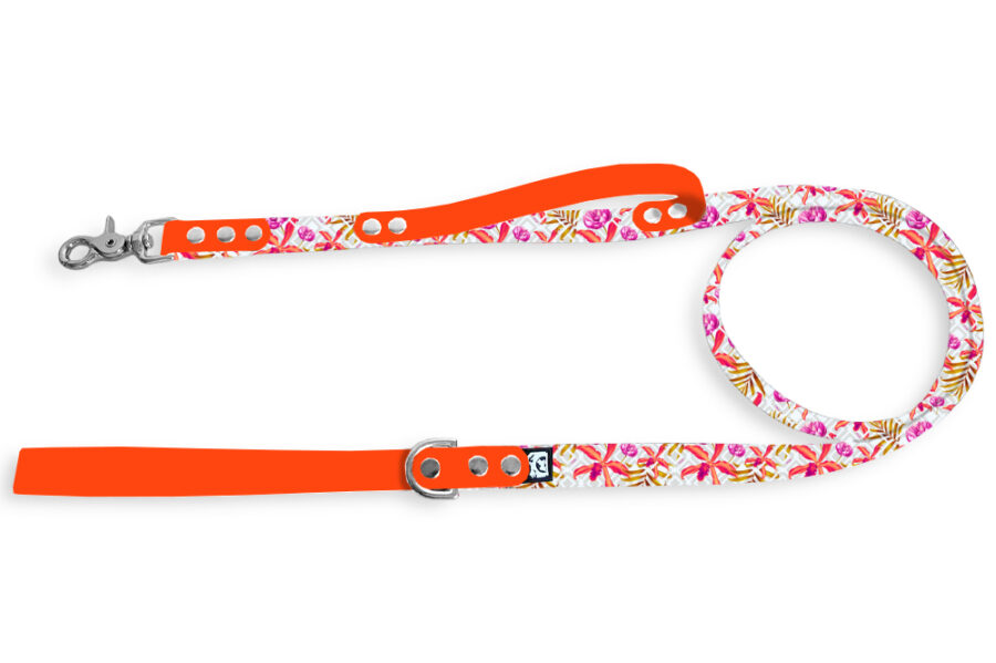 Laisse citadine Pawradise