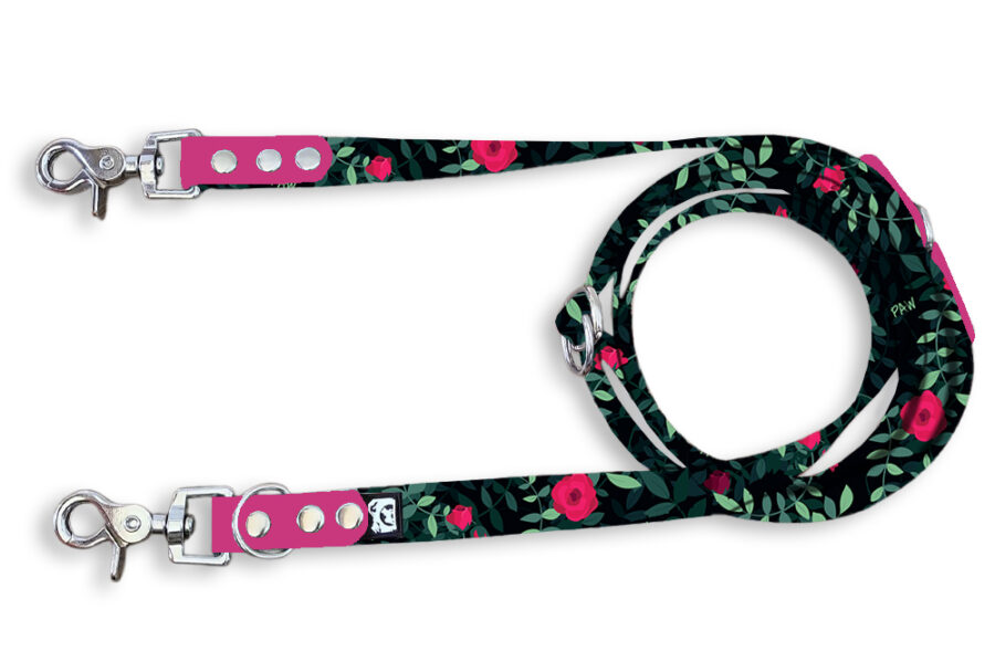 Laisse multi-positions Pawssion