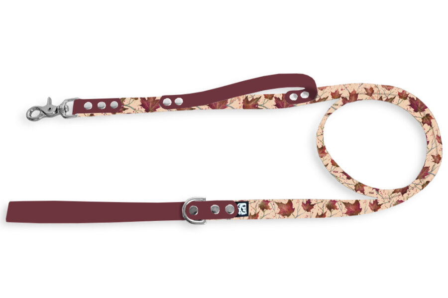 Laisse citadine Pawtumn