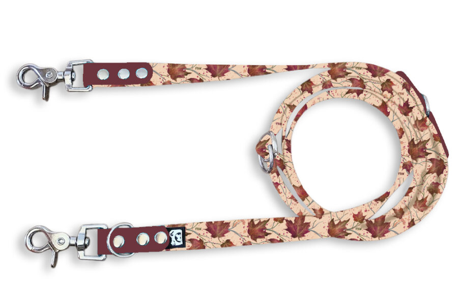 Laisse multi-positions Pawtumn