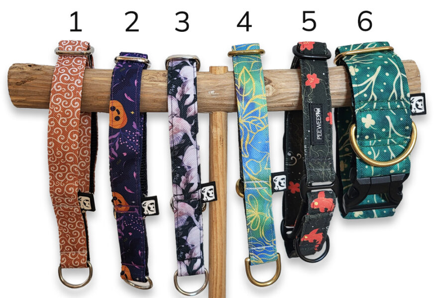 Colliers & martingales pour chien (taille S)