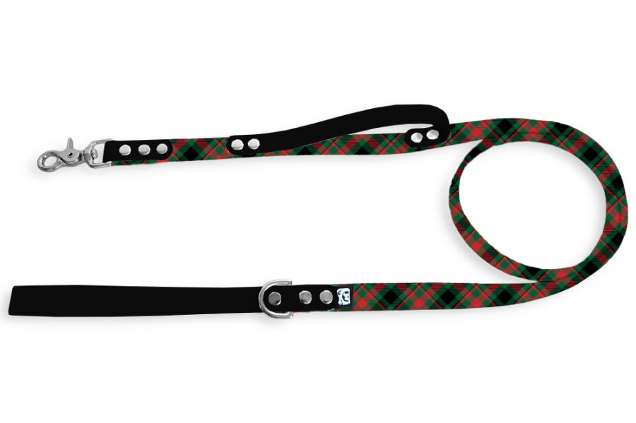 Laisse citadine Scottpaw