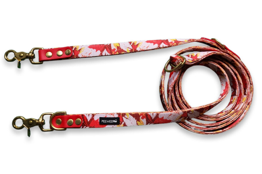 Laisse multi-positions Weefire (double épaisseur)