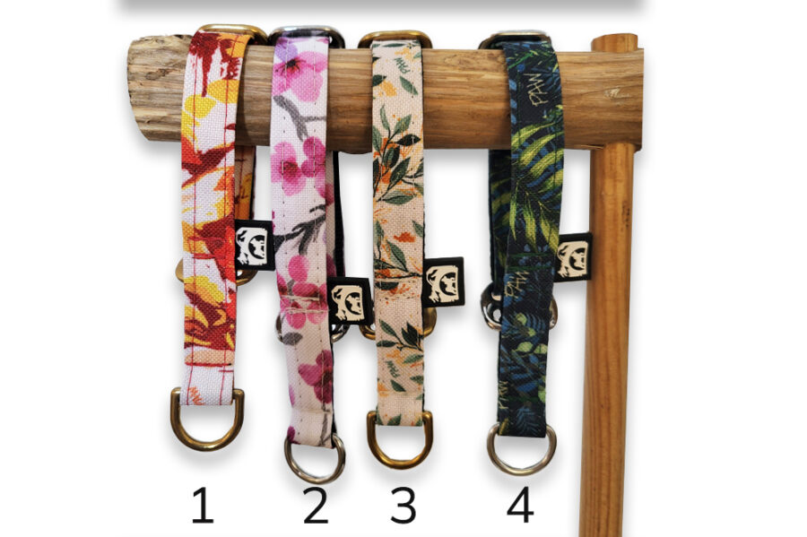 Colliers & martingales pour chien (taille XS)