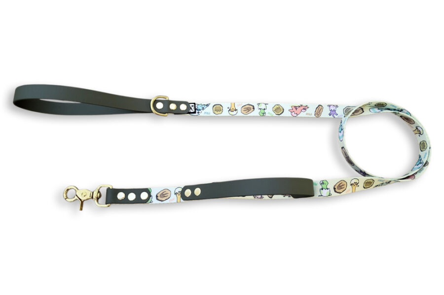 Laisse citadine Pawsaurus