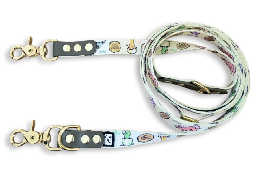 Laisse multi-positions Pawsaurus