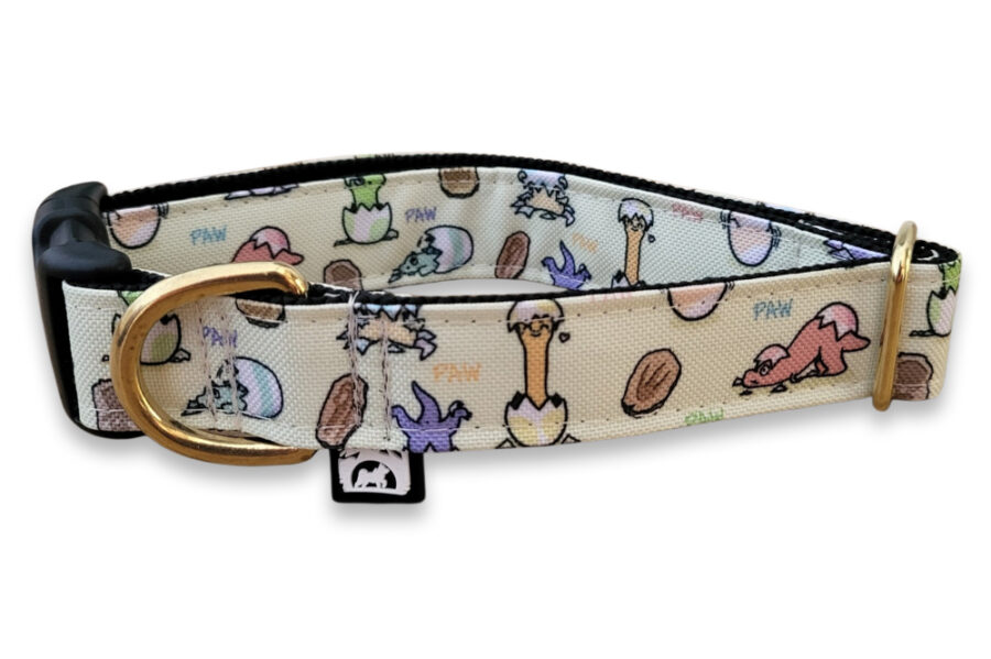 Collier imperméable Pawsaurus