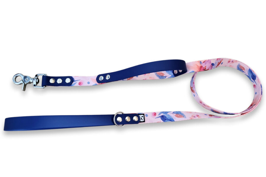 Laisse citadine Pawsy