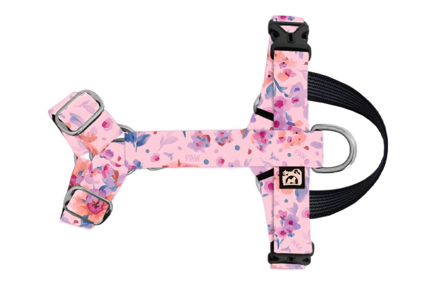 Harnais imperméable pour chien Pawsy